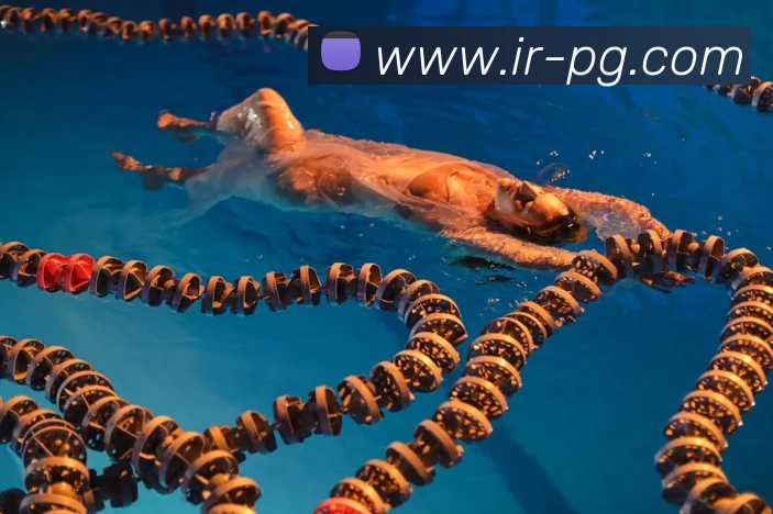 多媒体互动体验